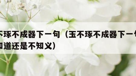 玉不琢不成器下一句（玉不琢不成器下一句是不知道还是不知义）
