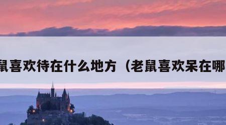 老鼠喜欢待在什么地方（老鼠喜欢呆在哪里）
