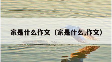 家是什么作文（家是什么,作文）