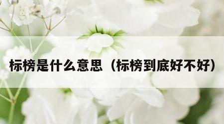 标榜是什么意思（标榜到底好不好）