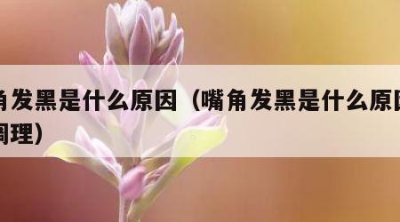 嘴角发黑是什么原因（嘴角发黑是什么原因如何调理）