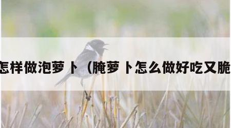 怎样做泡萝卜（腌萝卜怎么做好吃又脆）