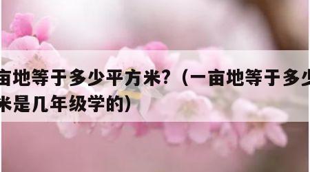 一亩地等于多少平方米?（一亩地等于多少平方米是几年级学的）