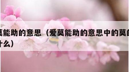 爱莫能助的意思（爱莫能助的意思中的莫的意思什么）