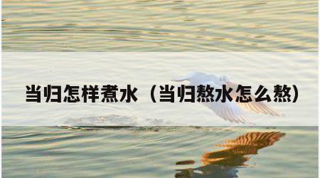 当归怎样煮水（当归熬水怎么熬）