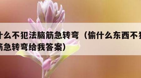 偷什么不犯法脑筋急转弯（偷什么东西不犯法脑筋急转弯给我答案）