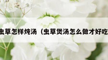 虫草怎样炖汤（虫草煲汤怎么做才好吃）