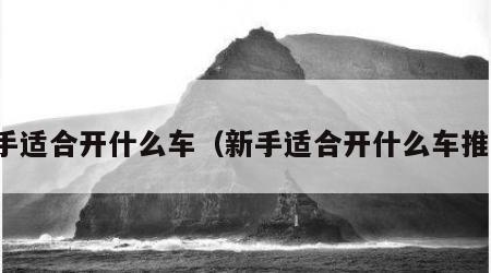 新手适合开什么车（新手适合开什么车推荐）