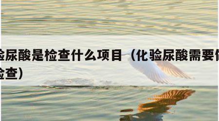 化验尿酸是检查什么项目（化验尿酸需要做什么检查）