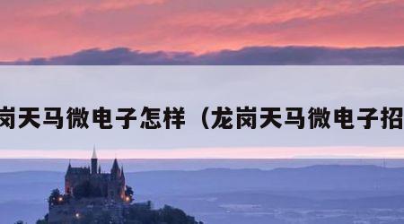 龙岗天马微电子怎样（龙岗天马微电子招聘）