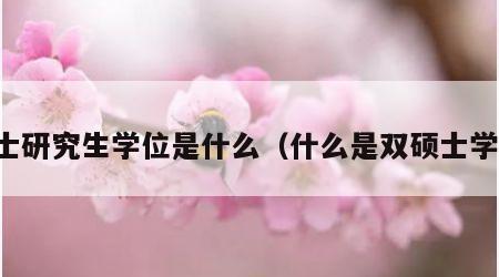 硕士研究生学位是什么（什么是双硕士学位）