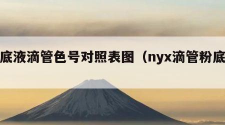 粉底液滴管色号对照表图（nyx滴管粉底液）