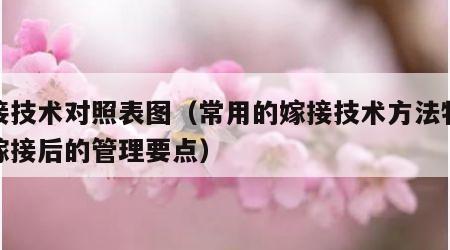 嫁接技术对照表图（常用的嫁接技术方法特点及嫁接后的管理要点）
