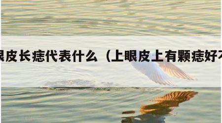 上眼皮长痣代表什么（上眼皮上有颗痣好不好）
