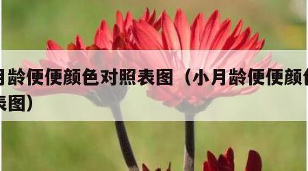 小月龄便便颜色对照表图（小月龄便便颜色对照表图）