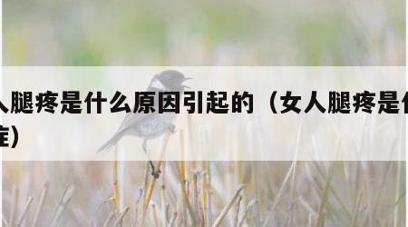 女人腿疼是什么原因引起的（女人腿疼是什么病症）