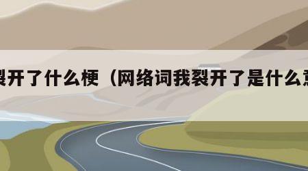 我裂开了什么梗（网络词我裂开了是什么意思）