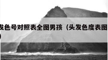 头发色号对照表全图男孩（头发色度表图1到12）