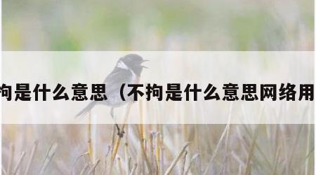 不拘是什么意思（不拘是什么意思网络用语）