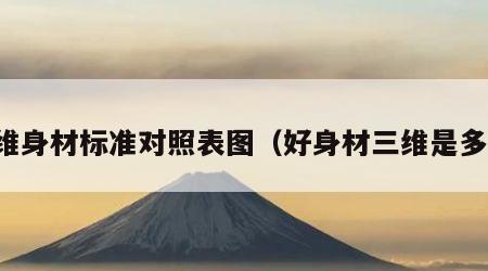 三维身材标准对照表图（好身材三维是多少）