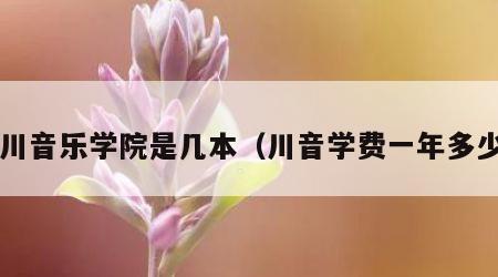 四川音乐学院是几本（川音学费一年多少?）