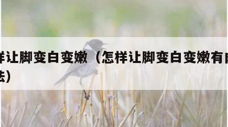 怎样让脚变白变嫩（怎样让脚变白变嫩有肉的方法）