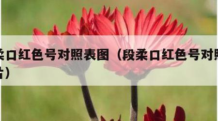 段柔口红色号对照表图（段柔口红色号对照表图片）