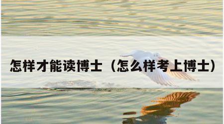 怎样才能读博士（怎么样考上博士）