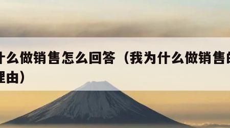 为什么做销售怎么回答（我为什么做销售的十大理由）