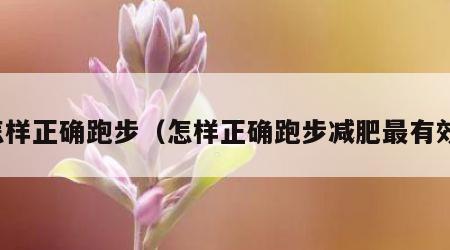 怎样正确跑步（怎样正确跑步减肥最有效）