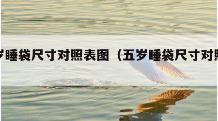 五岁睡袋尺寸对照表图（五岁睡袋尺寸对照表图）