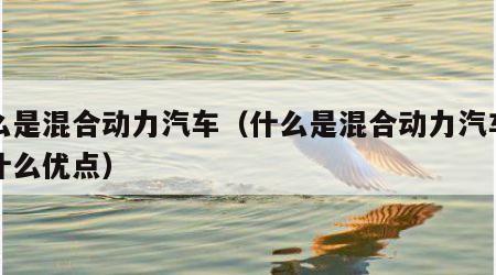 什么是混合动力汽车（什么是混合动力汽车它有什么优点）