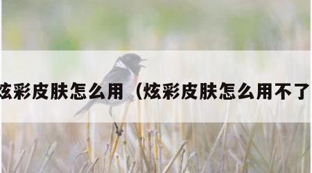 炫彩皮肤怎么用（炫彩皮肤怎么用不了）