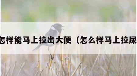 怎样能马上拉出大便（怎么样马上拉屎）