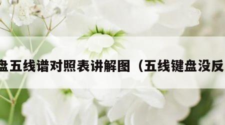 键盘五线谱对照表讲解图（五线键盘没反应）