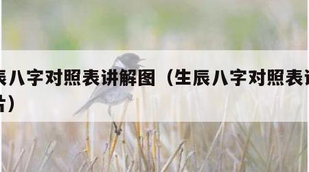 生辰八字对照表讲解图（生辰八字对照表讲解图片）