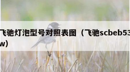 飞驰灯泡型号对照表图（飞驰scbeb53w）