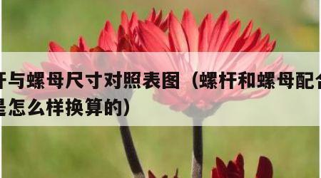 螺杆与螺母尺寸对照表图（螺杆和螺母配合尺寸是怎么样换算的）