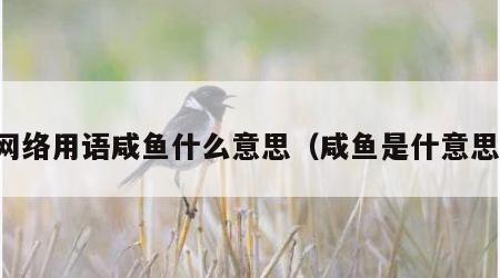 网络用语咸鱼什么意思（咸鱼是什意思）
