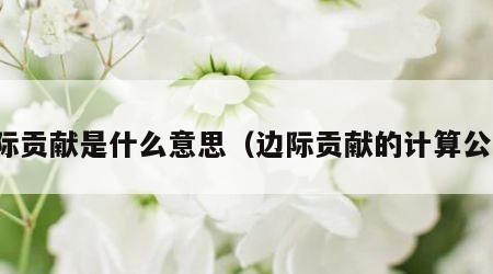 边际贡献是什么意思（边际贡献的计算公式）
