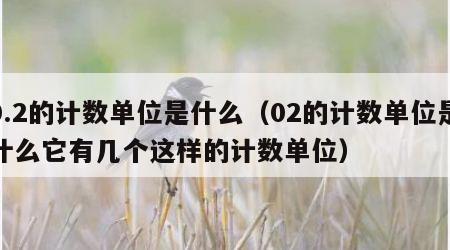 0.2的计数单位是什么（02的计数单位是什么它有几个这样的计数单位）