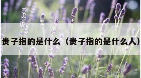 贵子指的是什么（贵子指的是什么人）