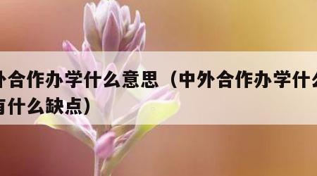 中外合作办学什么意思（中外合作办学什么意思有什么缺点）