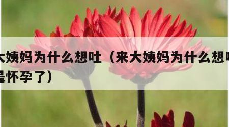 来大姨妈为什么想吐（来大姨妈为什么想吐是不是怀孕了）