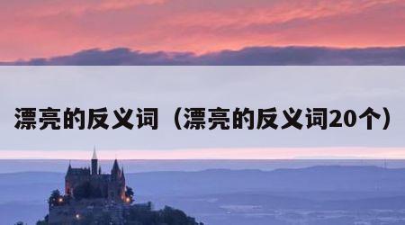 漂亮的反义词（漂亮的反义词20个）