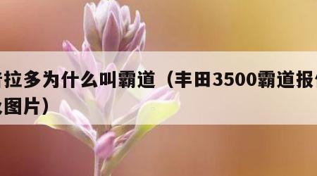 普拉多为什么叫霸道（丰田3500霸道报价及图片）