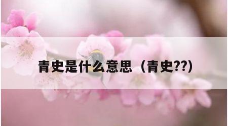 青史是什么意思（青史??）