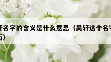 昊轩名字的含义是什么意思（昊轩这个名字的来历）