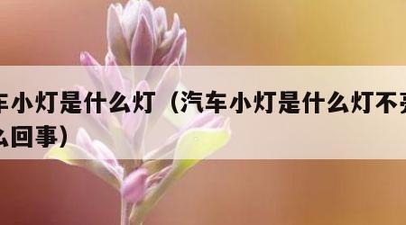 汽车小灯是什么灯（汽车小灯是什么灯不亮了怎么回事）