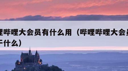哔哩哔哩大会员有什么用（哔哩哔哩大会员都能干什么）